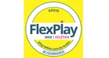Logo da FLEX PLAY Guarulhos