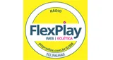 Logo da FLEX PLAY Palmas