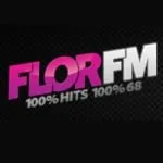 Logo da Flor 97.3 FM