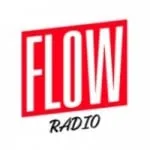 Logo da Flow Radio 94.1 FM