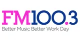 Logo da FM 100.3