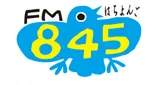 Logo da FM 845