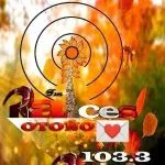 Logo da Fm Raices Alvear