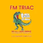 Logo da FM Triac