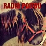 Logo da France Bleu Poitou 87.6 FM