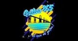 Logo da Gaitas 365