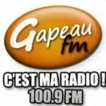 Logo da Gapeau 100.9 FM