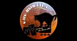 Logo da Gato Alquinta FM