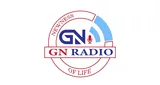 Logo da Gn Radio - Nigeria