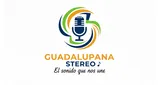 Logo da Guadalupana Stereo