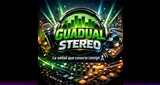 Logo da Guadual Stereo