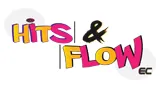 Logo da Hits & Flow Ec