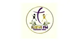 Logo da Ilizwifm