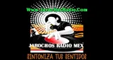 Logo da JarochosRadio.Com MX