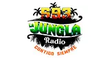 Logo da Jungla Radio 593