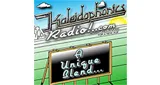 Logo da Kaleidophonics Radio Network