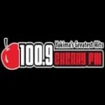 Logo da KARY 100.9 FM Cherry