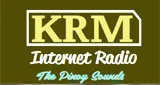 Logo da KRM Internet Radio