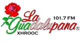 Logo da La Guadalupana