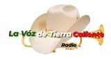 Logo da La Voz de Tierra Caliente