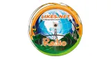 Logo da Likes Net Radio