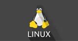 Logo da LinuxClickFM