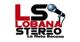 Logo da Lobana Stereo