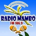 Logo da Mambo 106.9 FM