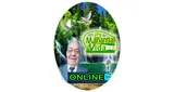 Logo da Manantial de Vida Online