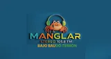 Logo da Manglar Estéreo 105.8