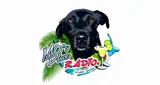 Mo's Place Radio
