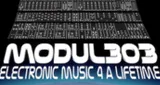 Logo da Modul303