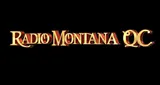 Logo da Montana QC