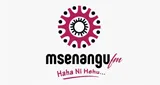 Logo da Msenangu FM