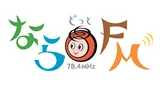 Logo da Nara Dot FM