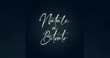 Logo da Natale a Bitonto