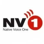 Logo da Native Voice One