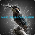 Logo da Nature Radio Sleep