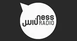 Logo da Ness Radio