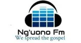 Logo da Ng'uono Fm 108.1