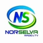 Logo da Nor Selva Radio 98.7 FM