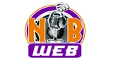 Logo da Nova Barreiros Web