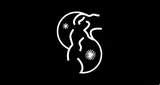 Logo da Nuance Radio