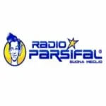 Logo da Parsifal 91.9 FM