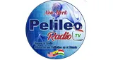 Logo da Pelileo Radio Tv