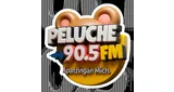 Peluche Fm 90.5 Apatzingán Mich.