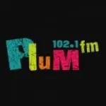 Logo da Plum 102.1 FM