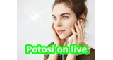 Logo da Potosí on live