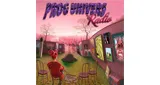 Logo da Prog Univers Radio