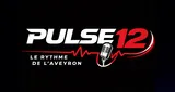 Logo da Pulse 12